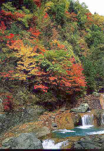 奥蓼科・横谷峡の紅葉